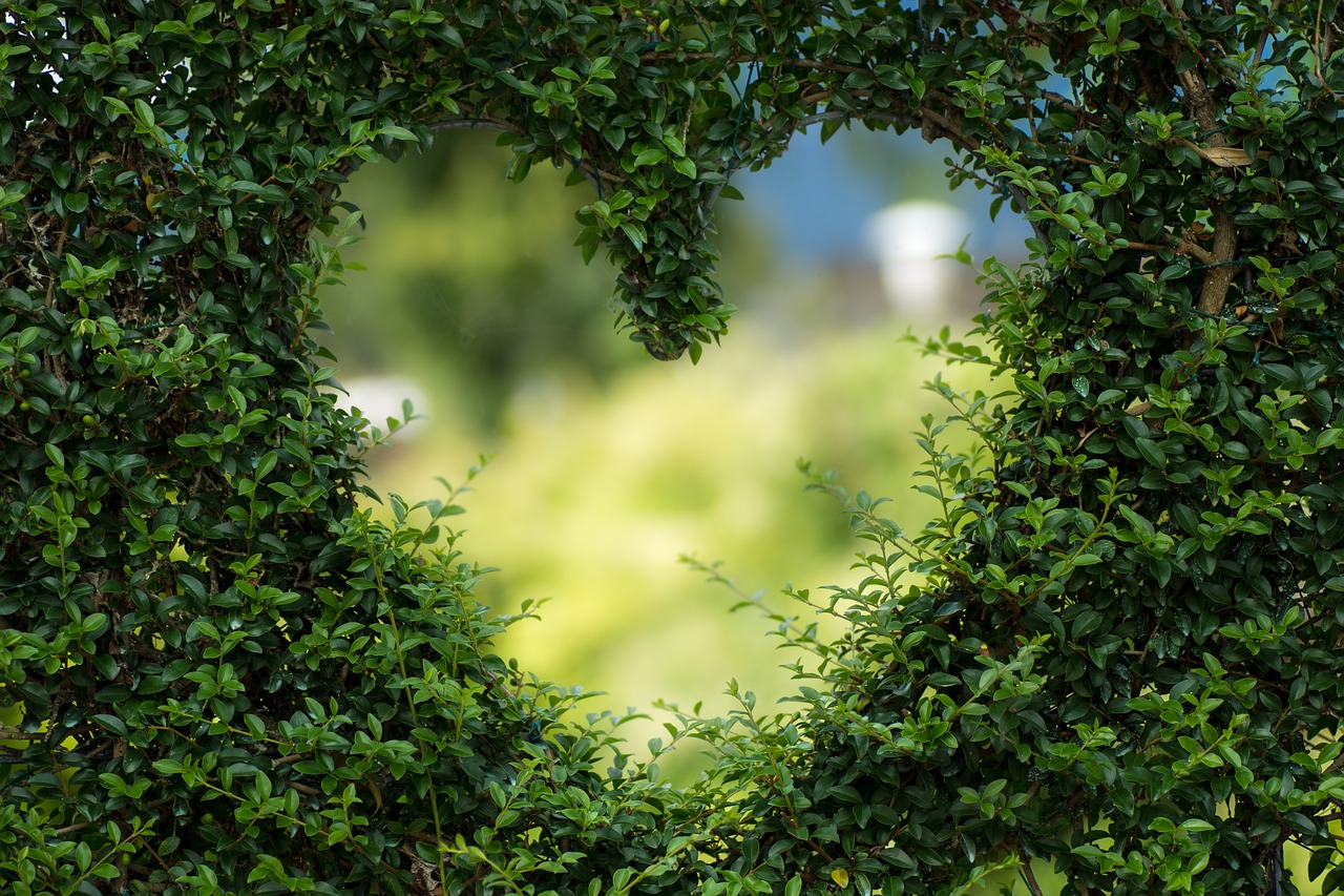 A heart shaped window in a hedge
