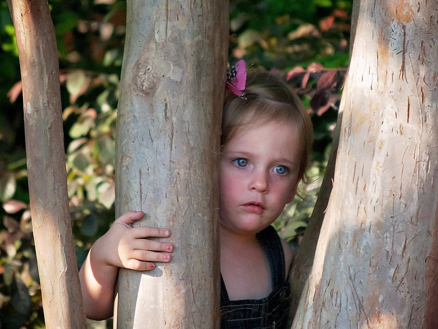 Small girl hiding behind trees